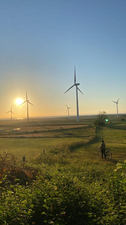 Agroturystyka Stokrotka Villa Darlowo Luaran gambar